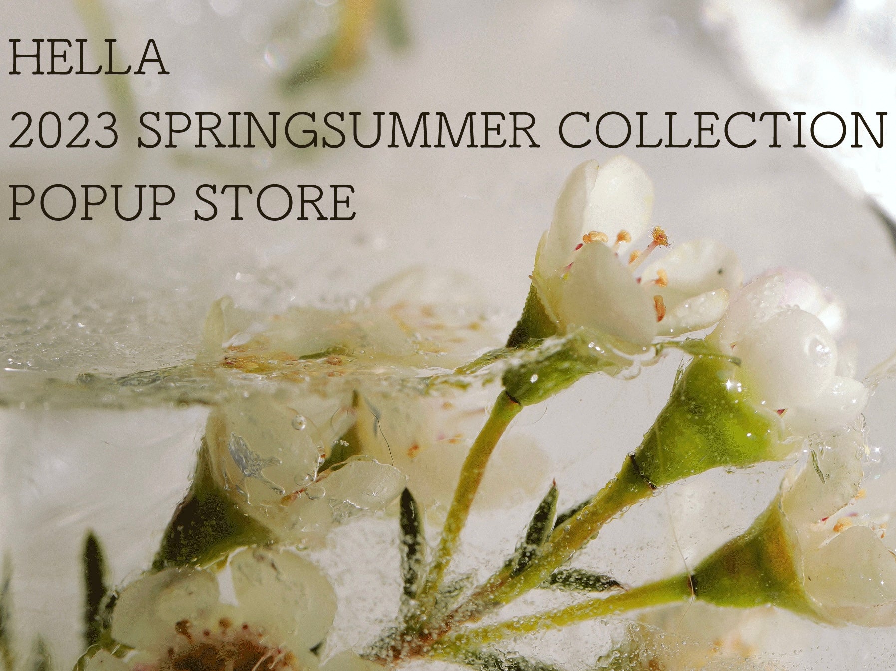 【 Hella 2023 SS COLLECTION POPUP STORE 】開催のお知らせ