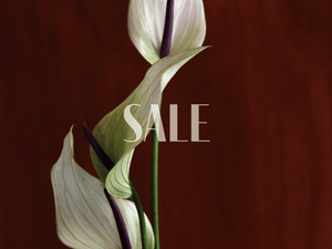【 SUMMER SALE 】開催のお知らせ