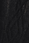 Sheer Cable Knit Top