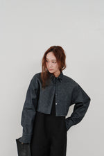 画像をギャラリービューアに読み込む, snow denim blouson
