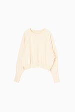 画像をギャラリービューアに読み込む, RAGLAN SWEAT
